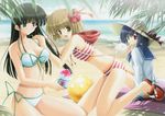  beach bikini blue_hair brown_eyes day eternal_sky flower green_eyes green_hair hat highres ikegami_akane long_hair multiple_girls outdoors shaved_ice short_hair side-tie_bikini striped striped_bikini swimsuit tokisaka_sora torii_sakune yuuki_alice 