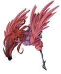  breasts feathered_wings feathers full_body harpy hirarin ichimai_ugou large_breasts long_hair looking_at_viewer monster_girl nipples purple_skin red_eyes red_hair red_wings shinrabanshou simple_background white_background wings yellow_sclera 