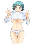  blue_(ao_maru) breasts fushimi_yukari large_breasts mouth_hold panties routes shirt_lift solo underboob underwear 