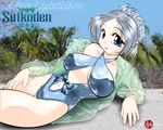  beach chris_lightfellow day gensou_suikoden gensou_suikoden_iii solo young_wang 