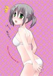  bra chany hayate_no_gotoku! lingerie nishizawa_ayumu panties solo underwear underwear_only 