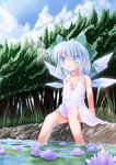  blue_hair breasts cirno cleavage flower lily_pad lingerie ribbon short_hair small_breasts solo touhou underwear water zein_co1 