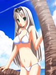  armpits bare_shoulders bikini blonde_hair breasts cleavage collarbone cowboy_shot day hair_intakes horizon kaneru kusugawa_sasara long_hair looking_at_viewer medium_breasts midriff navel ocean outdoors palm_tree solo stomach summer swimsuit to_heart_2 tree very_long_hair water white_bikini 