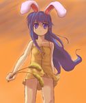  animal_ears bunny_ears kanon kawasumi_mai no_panties satou_takeshi solo 