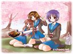  asahina_mikuru blue_sailor_collar brown_hair c-chaos cardigan cherry_blossoms hanami kita_high_school_uniform long_sleeves multiple_girls nagato_yuki obentou sailor_collar school_uniform serafuku short_hair suzumiya_haruhi suzumiya_haruhi_no_yuuutsu tea 