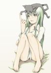  animal animal_on_head arthur_(code_geass) barefoot bottomless c.c. cat cat_on_head code_geass dress_shirt feet full_body green_hair long_hair on_head open_mouth shirt simple_background sitting solo yukari_(konekonekozou) 