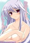  blush breast_hold breasts ibuki_pon large_breasts long_hair lyrical_nanoha mahou_shoujo_lyrical_nanoha mahou_shoujo_lyrical_nanoha_a's nude red_eyes reinforce silver_hair solo translation_request 