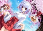  cherry_blossoms hakama hakama_lift hanging_from_tree japanese_clothes kotonomiya_yuki miko miyashiro_karin multiple_girls noritama_(gozen) red_hakama suigetsu yamato_suzuran 