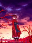  asaki_takayuki brown_hair flower geta japanese_clothes kimono kurame kusari_hime:_euthanasia long_hair looking_back ponytail red_eyes ripples sandals sky slit_pupils smile solo spider_lily staring sunset tengu-geta water 