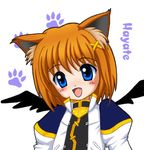  animal_ears blue_eyes brown_hair cat_ears flipper hair_ornament jacket lowres lyrical_nanoha magical_girl mahou_shoujo_lyrical_nanoha_strikers open_clothes open_jacket solo wings x_hair_ornament yagami_hayate 