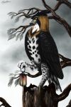  ashesdrawn avian bird bird_of_prey black_feathers day digital_media_(artwork) eagle feathered_wings feathers hawk-eagle lantern ornate_hawk-eagle outside overcast sky solo wings yellow_eyes 