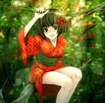  in_tree japanese_clothes kimono nature original short_kimono sitting sitting_in_tree solo torazou tree 