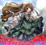  brown_hair dress flower grass heterochromia long_hair monikano rose rozen_maiden solo suiseiseki 