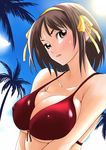  bikini bikini_top breasts brown_eyes brown_hair covered_nipples day large_breasts osuzu_akiomi short_hair solo suzumiya_haruhi suzumiya_haruhi_no_yuuutsu swimsuit 