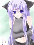  animal_ears bangs cat_ears copyright_request shirotsuki_kouta solo 