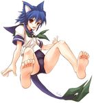  akiyama_nenehisa animal_ears barefoot black_school_swimsuit cat_ears copyright_request feet foreshortening no_pants pov_feet red_eyes school_swimsuit school_uniform serafuku soles solo swimsuit swimsuit_under_clothes tail toes 