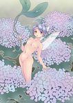  :o breasts fairy fairy_wings floral_background flower hydrangea looking_at_viewer namekuji navel nipples nude original oversized_object purple_hair short_hair small_breasts solo wings yellow_eyes 