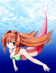  bikini_top breasts brown_hair medium_breasts mermaid monster_girl orange_eyes seto_no_hanayome seto_sun solo swimsuit underwater yn1982 
