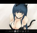  animal_ears blue_hair breasts cat_ears chisato_(zyklus) cleavage copyright_request large_breasts lowres solo tail 