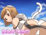  ass awa bangs bare_shoulders bent_over blunt_bangs blush cloud day elbow_gloves from_behind gloves headgear heart leotard light_brown_hair looking_at_viewer looking_back lowres motion_slit oekaki orange_eyes outdoors pilot_suit sakurano_otoha short_hair sky sky_girls solo translated white_gloves white_leotard 