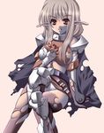  elf hakoiri_nyanko paladin_(ragnarok_online) pointy_ears ragnarok_online solo thighhighs 