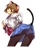  animal_ears cat_ears kita_high_school_uniform panties panties_under_pantyhose pantyhose sasaki_(suzumiya_haruhi) school_uniform serafuku solo suzumiya_haruhi_no_yuuutsu tail underwear yuutarou 