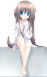  animal_ears blue_eyes kayune_niu long_hair original pajamas solo 