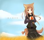  animal_ears apple food fruit holding holding_food holding_fruit holo kayune_niu long_hair solo spice_and_wolf tail wolf_ears 
