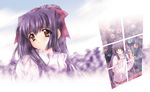  carnelian highres kao_no_nai_tsuki kuraki_suzuna long_hair purple_hair ribbon solo sweater 