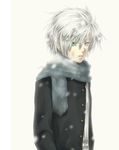 copyright_request heterochromia male_focus nichika_miyama scarf silver_hair snowing solo 