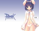  akamaru animal_ears bunny_ears fake_animal_ears panties ragnarok_online solo underwear wallpaper 