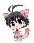  :3 animal_ears antenna_hair artist_request blush cat_ears cat_tail chibi cute_&amp;_girly_(idolmaster) idolmaster idolmaster_(classic) idolmaster_1 kikuchi_makoto solo tail 