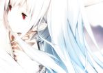  byakki close-up houden_eizou long_hair pale_skin red_eyes solo tattoo wagaya_no_oinari-sama white white_hair 