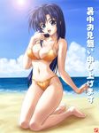  aqua_eyes beach bikini blue_hair day kagehara_hanzou long_hair original outdoors shochuumimai solo swimsuit 