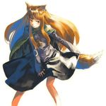  animal_ears holo long_hair myu solo spice_and_wolf tail wolf_ears 