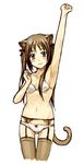  amagai_tarou animal_ears armpits blush bra brown_hair cat_ears garter_belt lingerie long_hair original panties solo tail thighhighs underwear underwear_only 