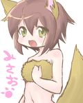  animal_ears artist_request bandeau bare_shoulders brown_hair dog_ears dog_tail fang kusakabe_misao lucky_star midriff navel oekaki short_hair solo strapless tail translated tubetop yellow_eyes 