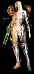  gun koyama_sousuke metroid power_suit samus_aran snail solo varia_suit weapon x-ray 