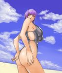  ayane_(doa) bad_id bad_pixiv_id beach cloud day dead_or_alive ibanen one-piece_swimsuit outdoors purple_hair red_eyes short_hair sky solo swimsuit 