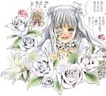  bangs blunt_bangs blush bow character_request flower flower_eyepatch full-face_blush hair_bow kirakishou looking_at_viewer multiple_girls pink_bow rose rozen_maiden silver_hair solo_focus toshi_hiroshi translated yellow_eyes 