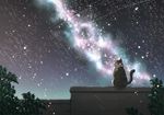  cat_focus copyright_request from_behind kazuki_ren milky_way night night_sky no_humans sitting sky star_(sky) starry_sky 