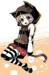  animal_ears animal_hood azuki_akizuki cat_hood hood oekaki original solo striped striped_legwear tail thighhighs 