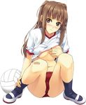  bandaid bandaid_on_knee blush breasts brown_eyes brown_hair buruma cameltoe covering covering_breasts full_body gym_uniform hands legs long_hair looking_at_viewer luna_(reclaimed_land) medium_breasts navy_blue_legwear no_bra original ribbed_legwear shirt_lift shoes simple_background socks solo uwabaki volleyball wet white_background 