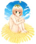  barefoot feet flower knee_hug knees-on-chest knees_on_chest leg_hug minigirl nude nyannyannyan! ogawa_hidari original smile 