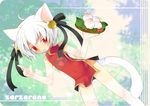  animal_ears cat_ears china_dress chinese_clothes dress kamiyoshi_rika male_focus original otoko_no_ko solo thoto 