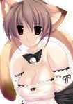  animal_ears bare_shoulders breasts cat_ears copyright_request jian large_breasts solo tail 