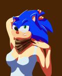  animal_head annoyed breasts clothed clothing dress fryegg green_eyes half-closed_eyes looking_at_viewer neckerchief sneer sonic_(series) sonic_the_hedgehog video_games 