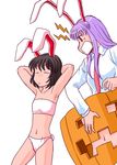  animal_ears black_hair bunny_ears bunny_tail inaba_tewi jack-o'-lantern kisaragi_ryou_(sougetsu-tei) multiple_girls naked_pumpkin necktie panties pink_panties pumpkin purple_hair red_eyes reisen_udongein_inaba short_hair tail touhou underwear white_background 