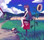  ahoge bad_id bad_pixiv_id barefoot blue_eyes brown_hair cloud day dress flower grass hat japanese_postal_mark letter long_hair mouth_hold original postbox_(outgoing_mail) red_hair shati sitting sky solo straw_hat sunflower 