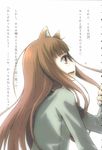  animal_ears ayakura_juu highres holo long_hair novel_illustration official_art solo spice_and_wolf tail wolf_ears 